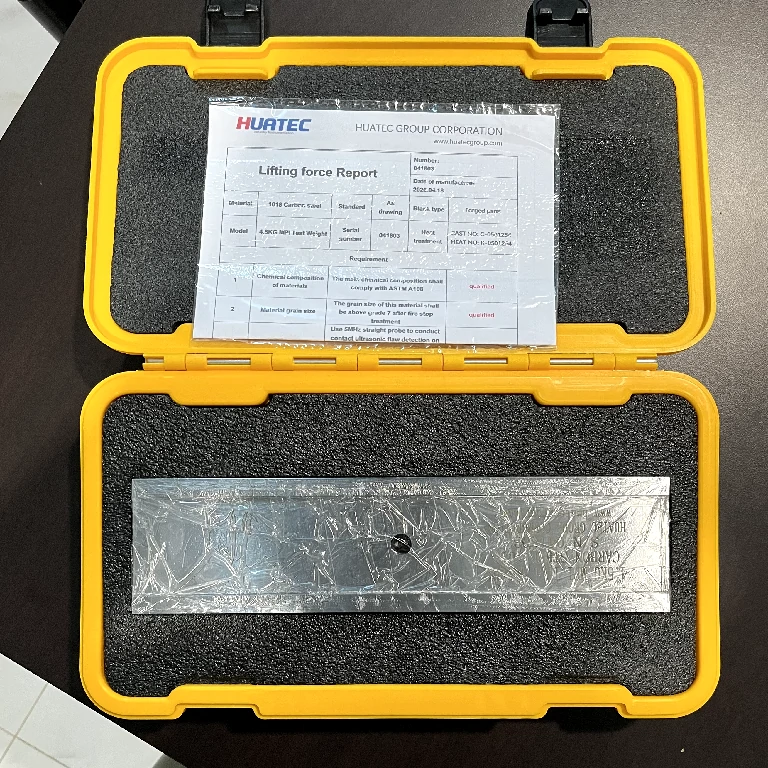 MPI Test Weight 4.5 KG Carbon Steel